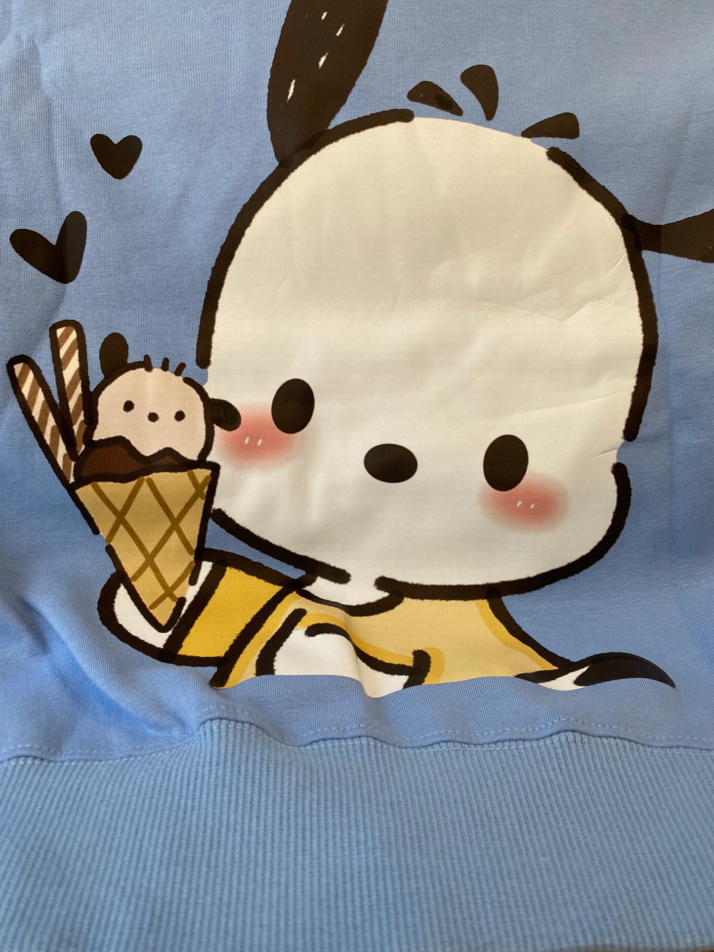Back of Hoodie