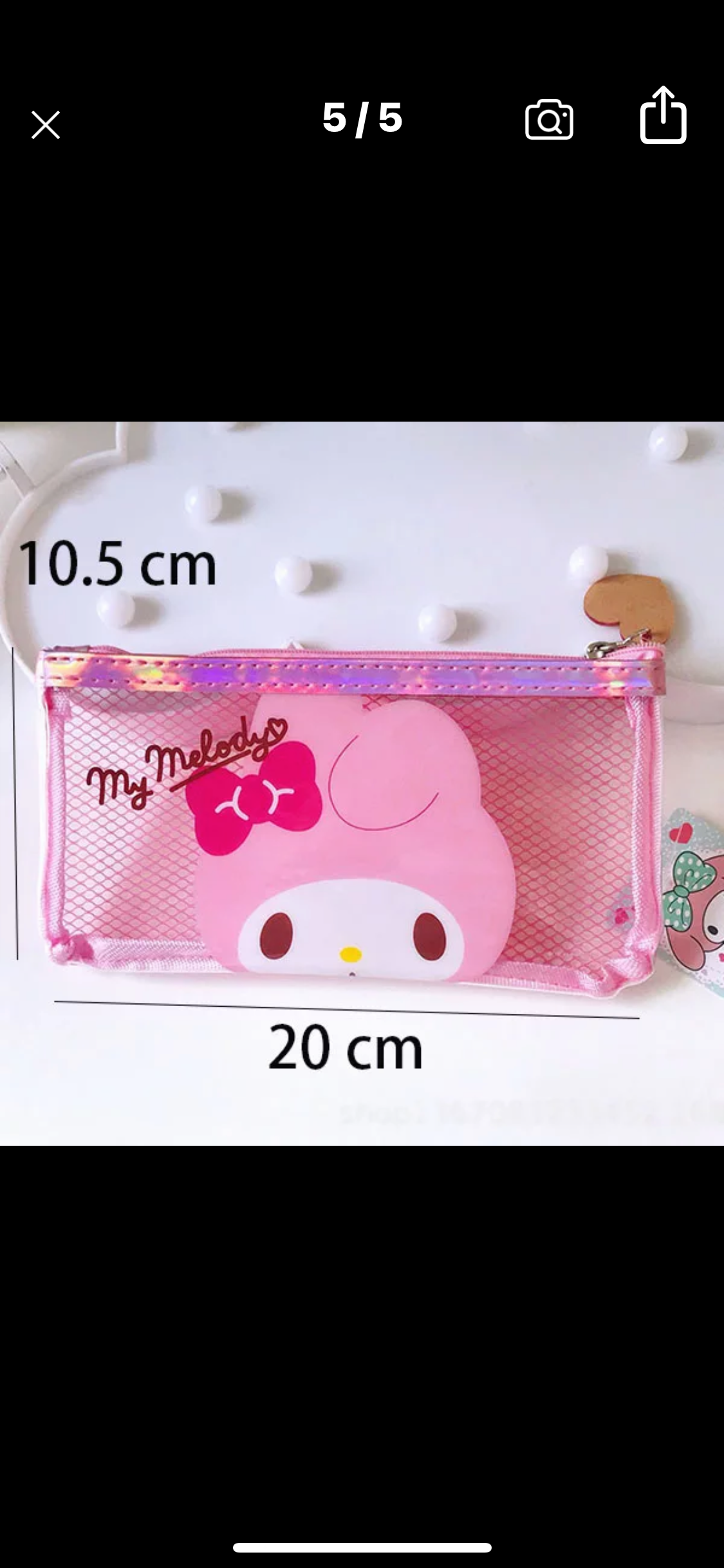 Sanrio Pencil Case