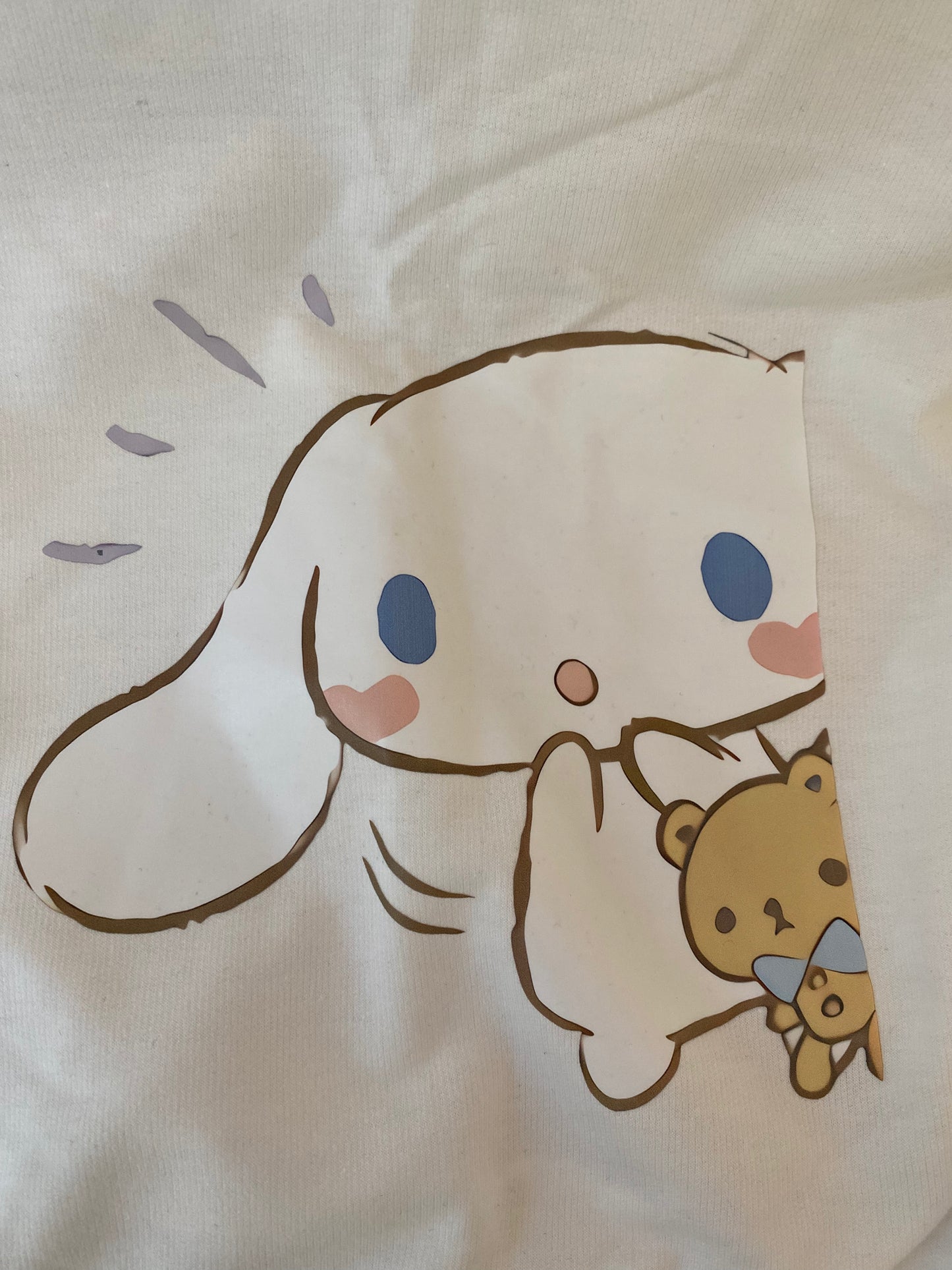 Cinnamoroll Hoodie